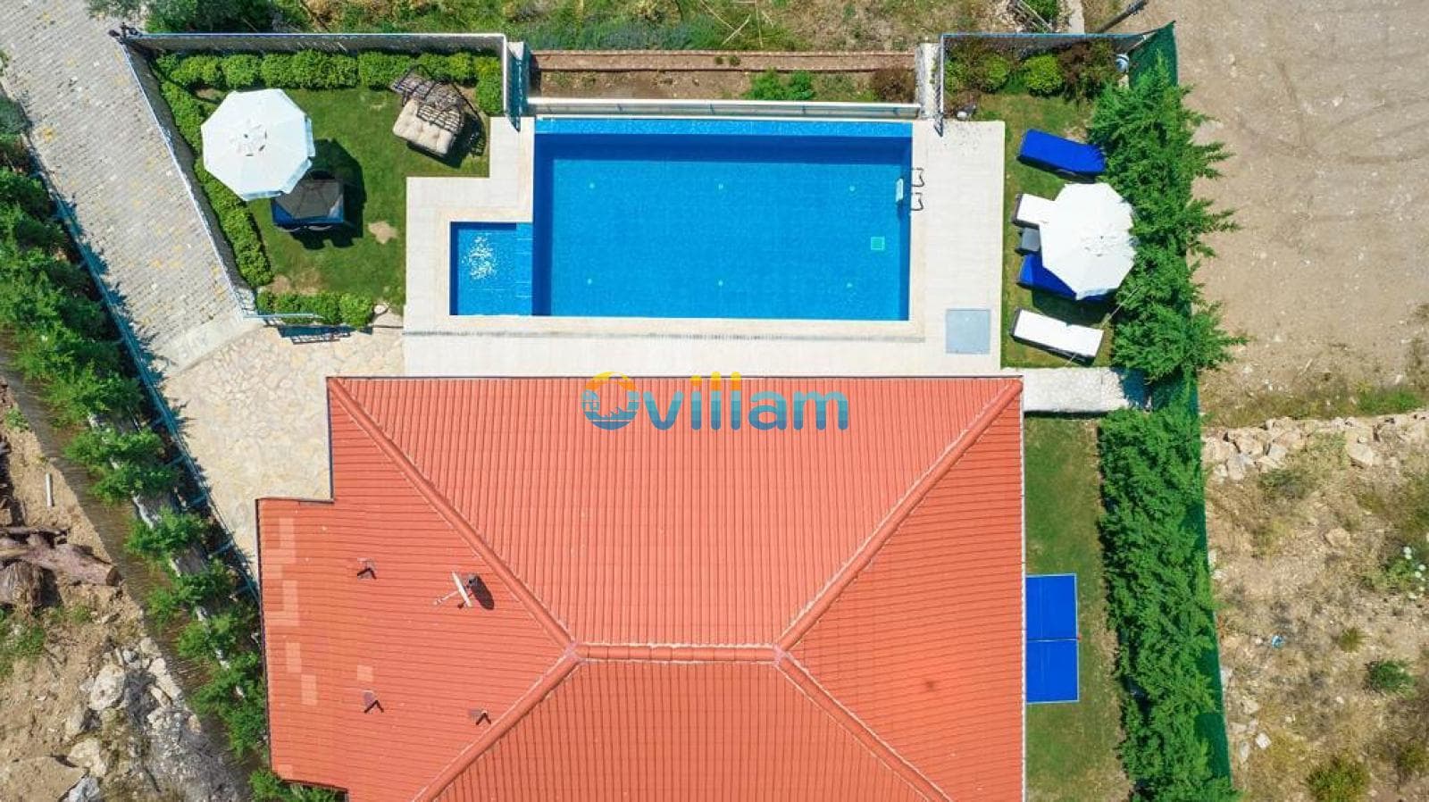 Kiremit çatılı villanın havuzu, şezlongları ve çevresindeki yeşil bahçesi kuş bakışı görünümü.
