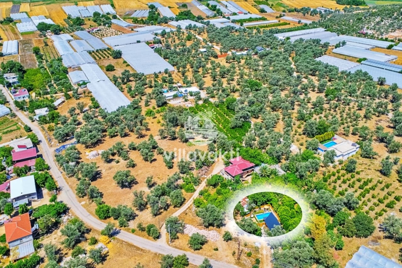 Zeytin ağaçları ve seralarla çevrili arazide yer alan, özel havuzlu müstakil villa.