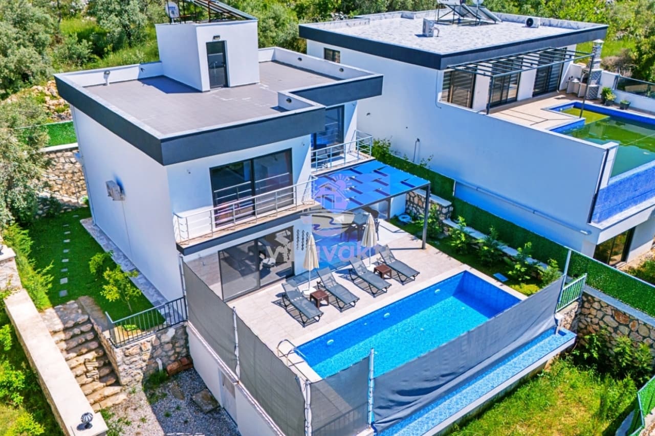Düz çatılı modern villanın havuzlu bahçesi ve çevresindeki yeşil alanlar.