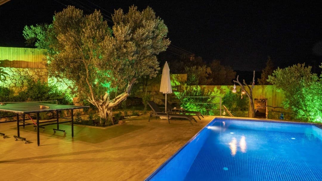 Gece aydınlatmalı havuz, büyük ağaç ve masa tenisi masası.