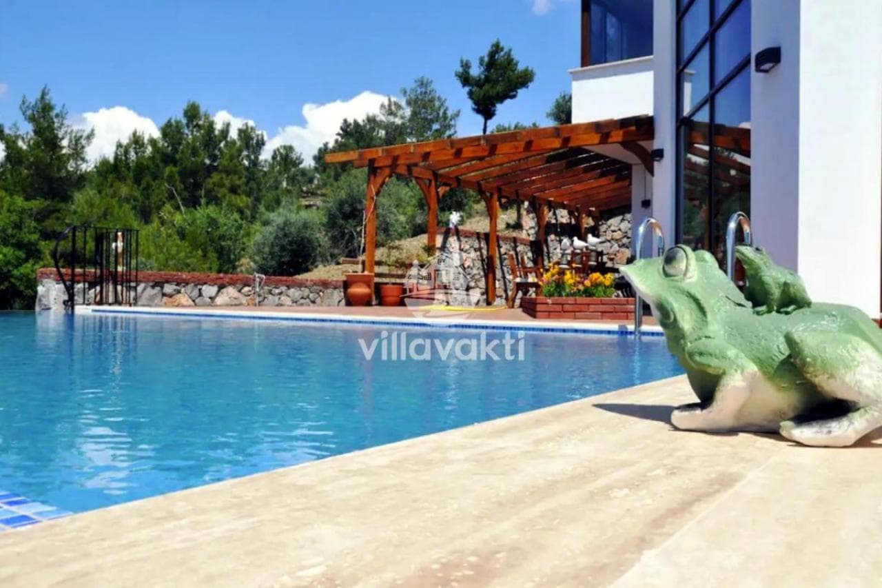 Ahşap pergolalı ve kurbağa heykelli havuz kenarı