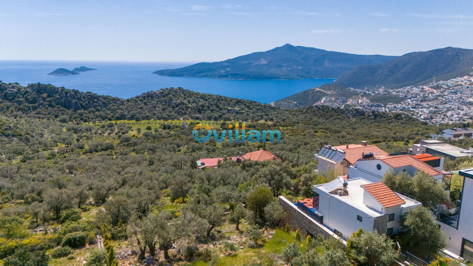 Orman ve deniz manzarasına bakan yamaçtaki villalar