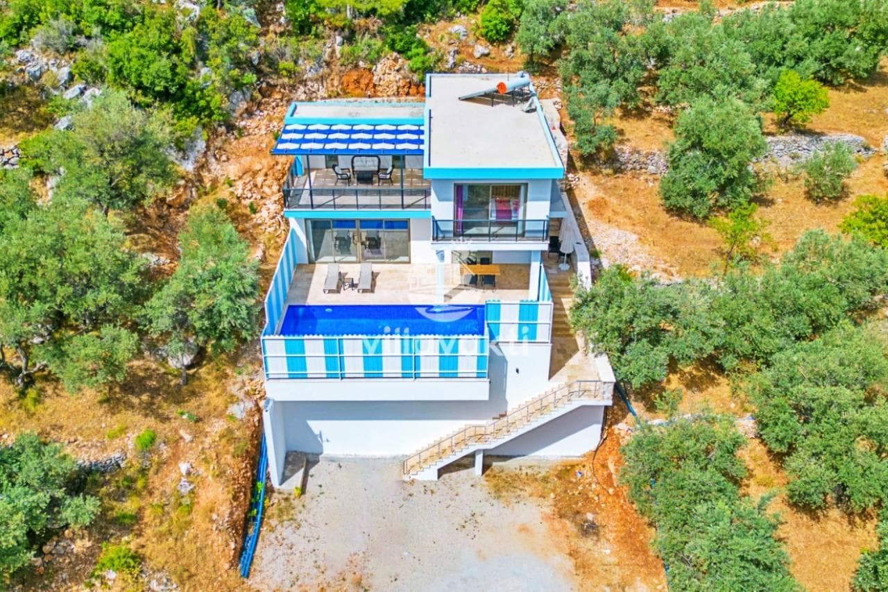 Zeytin ağaçlarıyla çevrili doğa içindeki havuzlu villa.