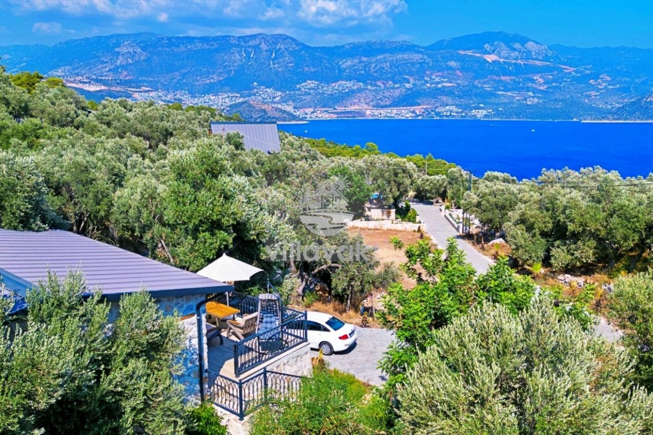 Zeytin ağaçlarıyla çevrili villa ve arka planda masmavi deniz manzarası.