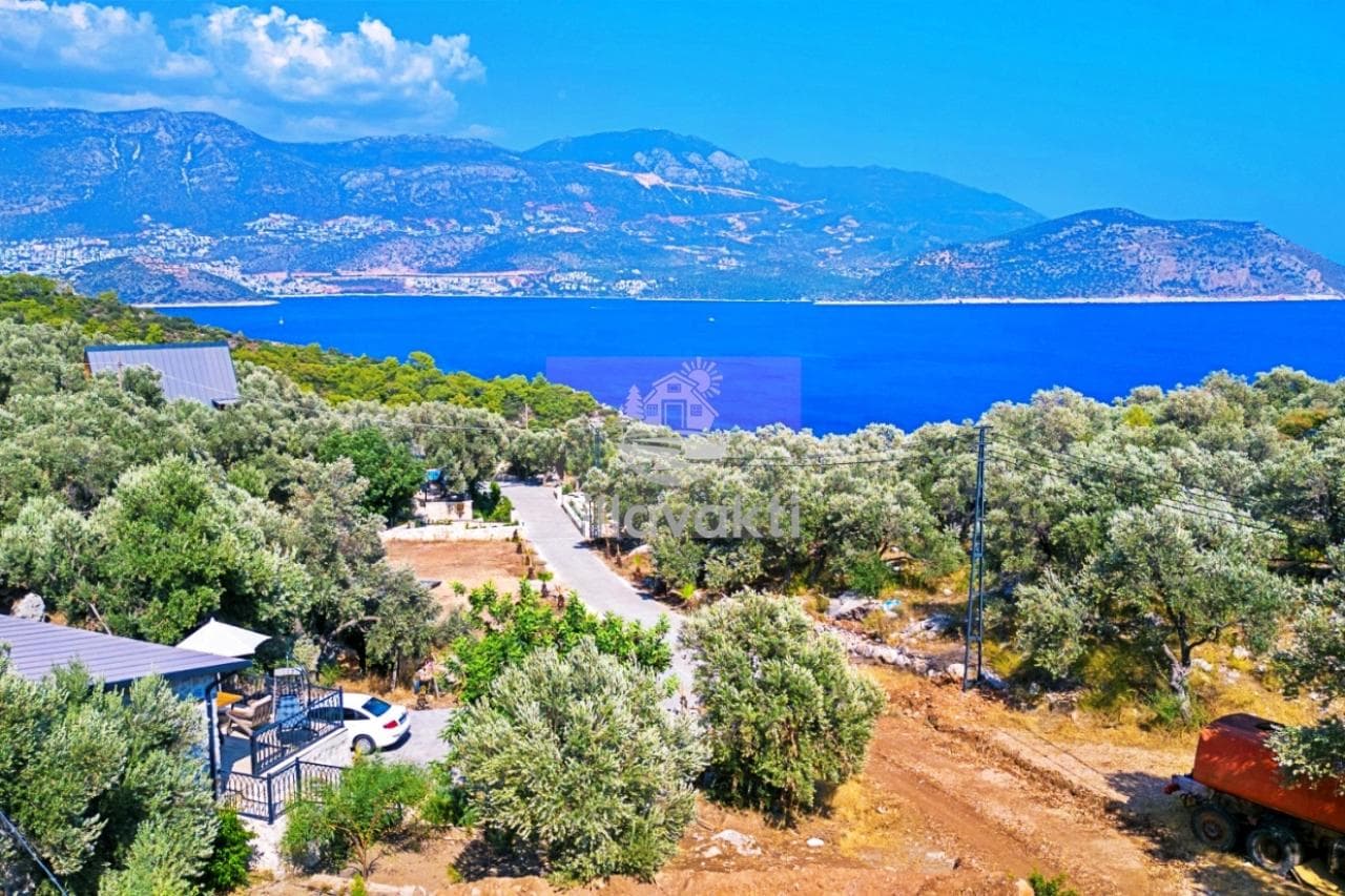 Villa Nature Muarkürü, Yeşilköy — 2. fotoğraf