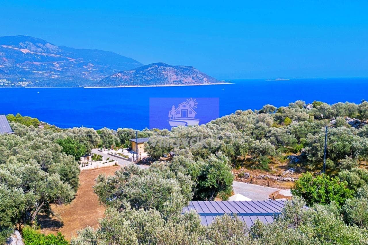 Villa Nature Muarkürü, Yeşilköy — 3. fotoğraf