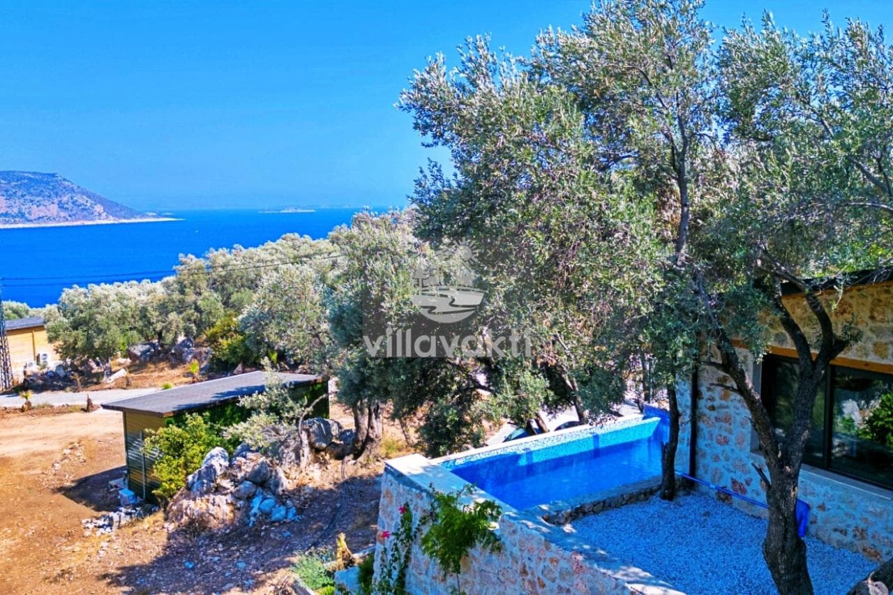 Villa Nature Muarkürü, Yeşilköy — 4. fotoğraf