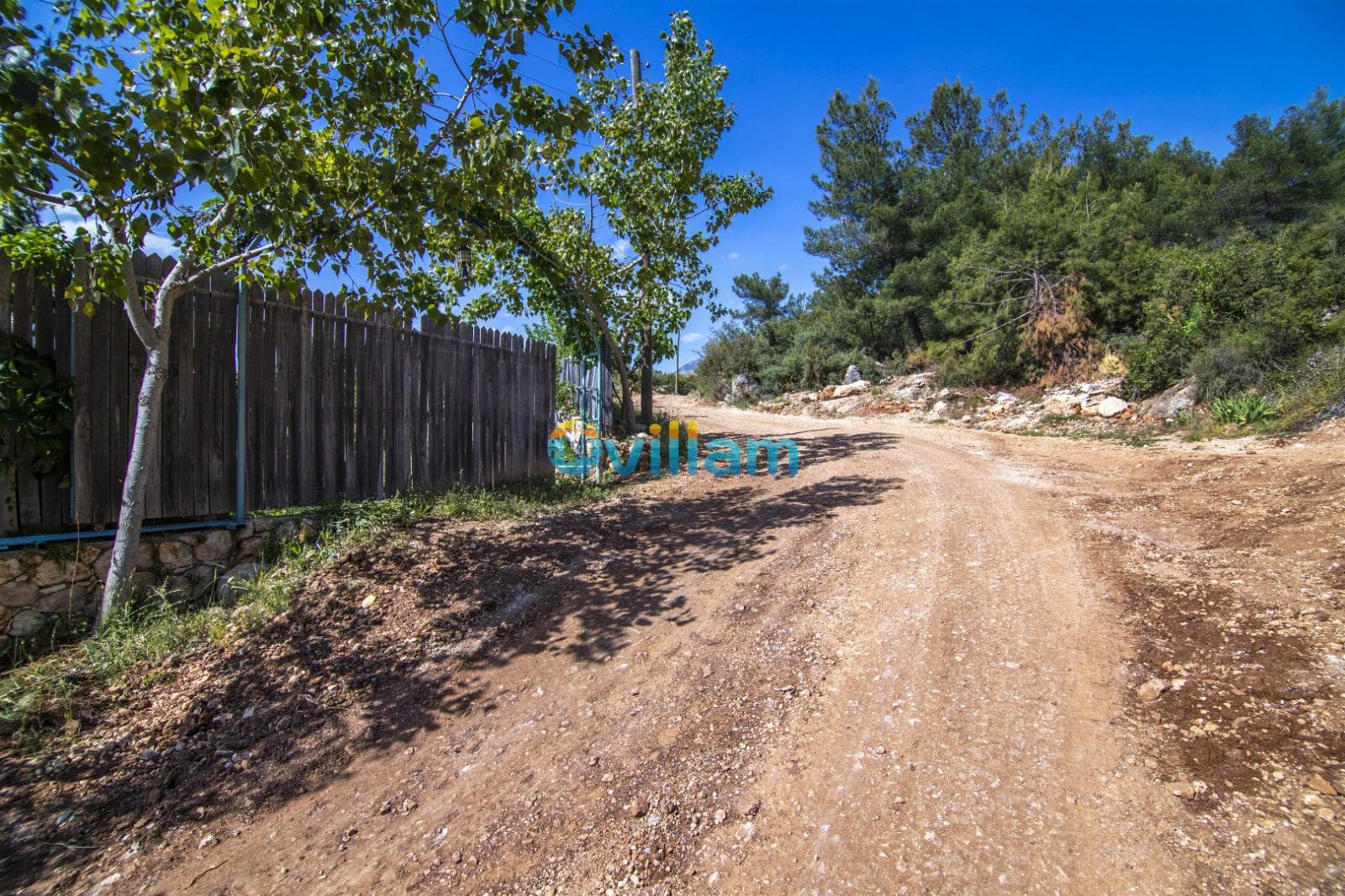Ağaçlarla çevrili toprak yol ve ahşap çit.