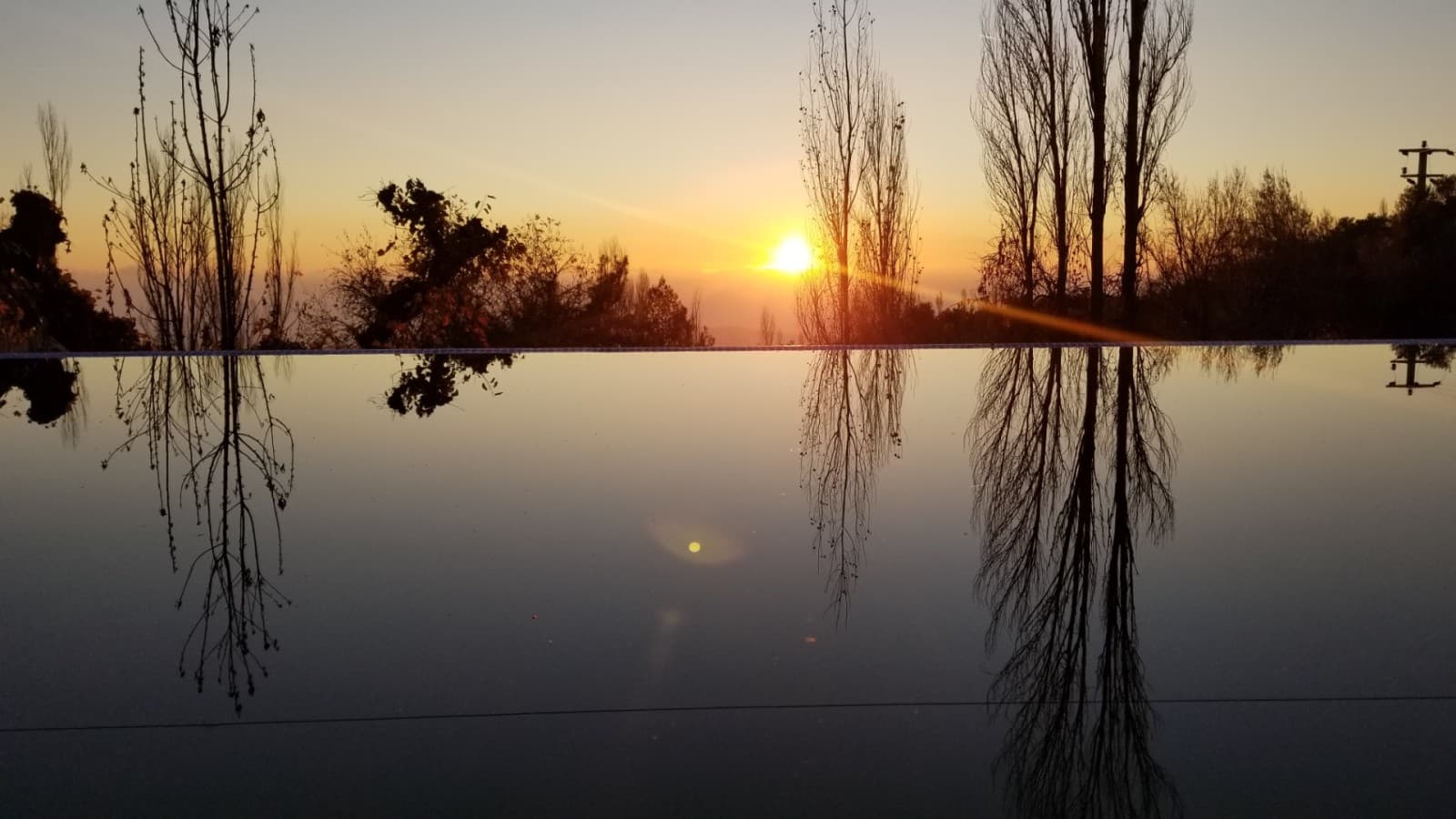 Gün batımında ağaçların ve gökyüzünün havuza yansıması.