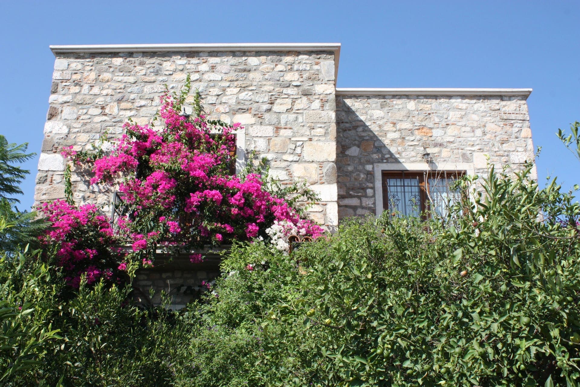 Villa Pyrus, Bodrum — 3. fotoğraf