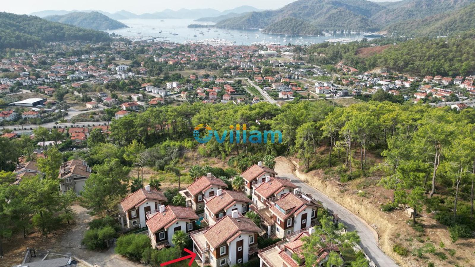 Orman ve koy manzarasına bakan yeşillikler içindeki evler.