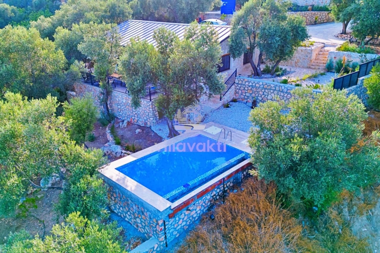 Zeytin ağaçlarıyla çevrili villanın havuzu ve taş terası yukarıdan görünüyor.