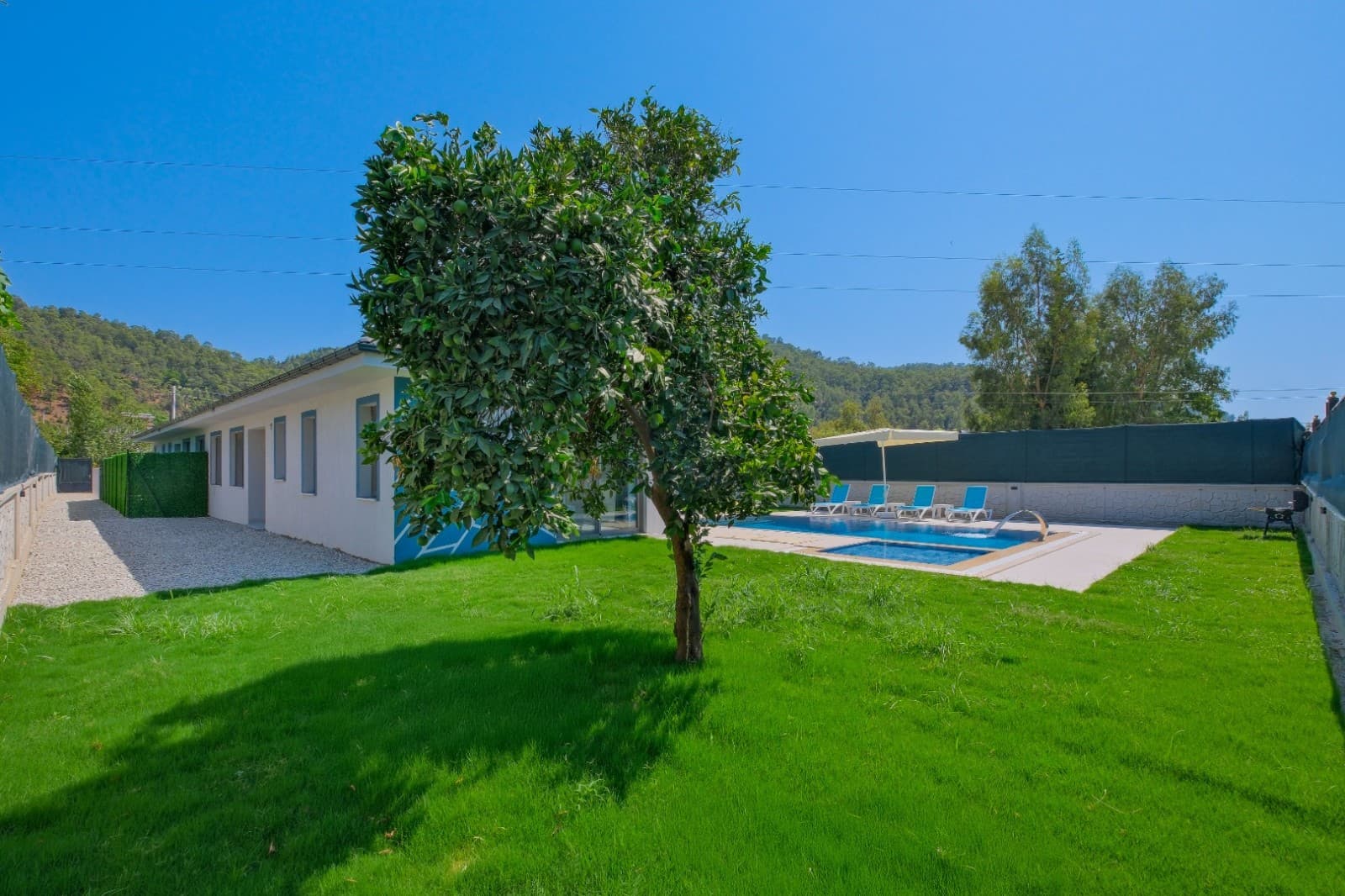 Geniş çim bahçesi, ortada büyük bir ağaç ve ileride havuz alanı olan villa bahçesi.