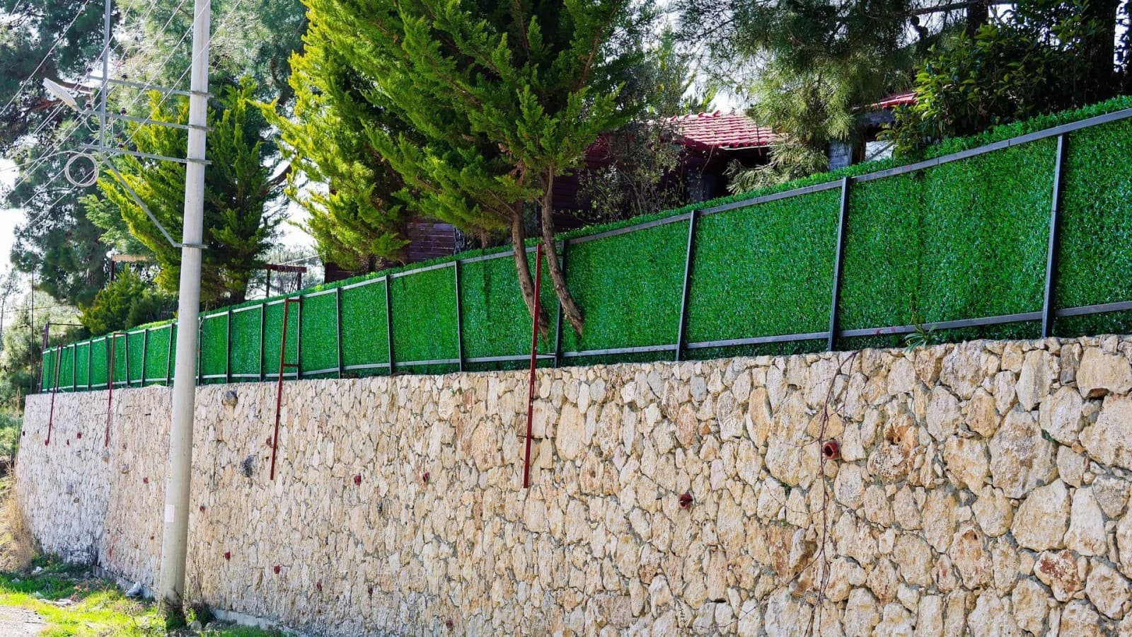 Taş duvar üzerine çekilmiş yeşil çit ve arkasında çam ağaçları.
