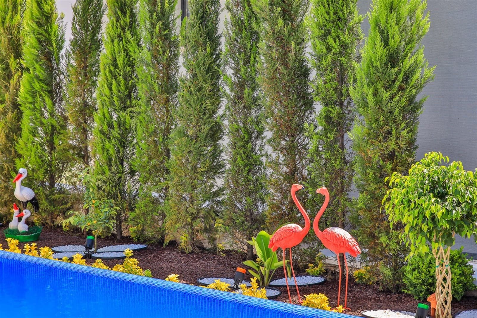 Havuz kenarında yeşil selvi ağaçları önünde duran pembe flamingo figürleri ve beyaz taşlı süslemeler.